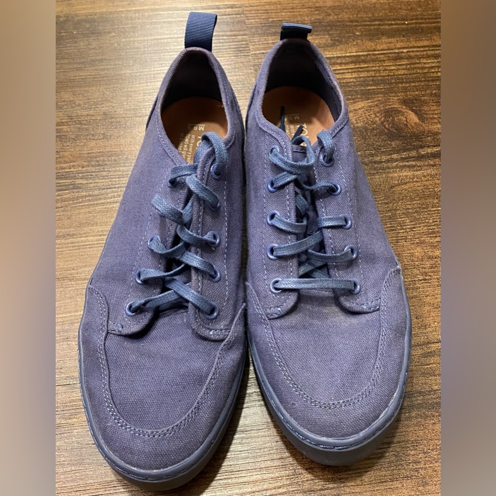 Toms Navy Sneakers